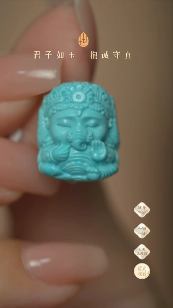 【闪购商品】绿松石F22（多样性发一件）未镶嵌雕刻件