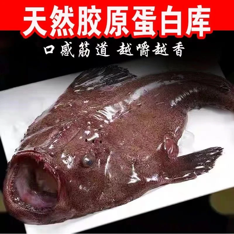 山东发货安康鱼带肝带肚