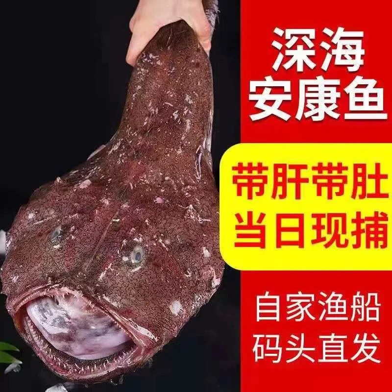 山东发货深海安康鱼带肝带肚