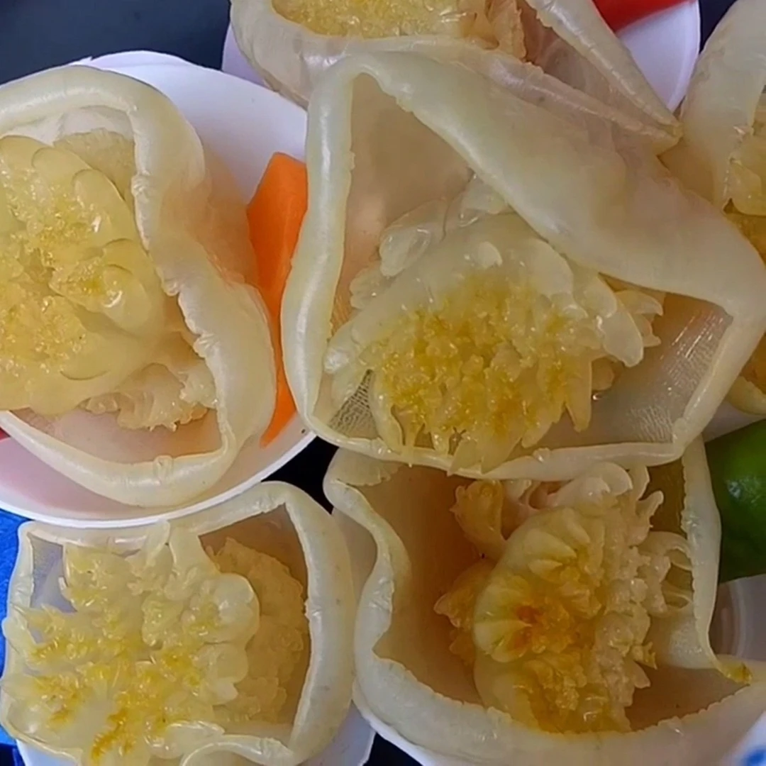 海蜇头海蜇花水母花爆炒火锅凉菜全国酒店餐饮热门新菜品500g袋装