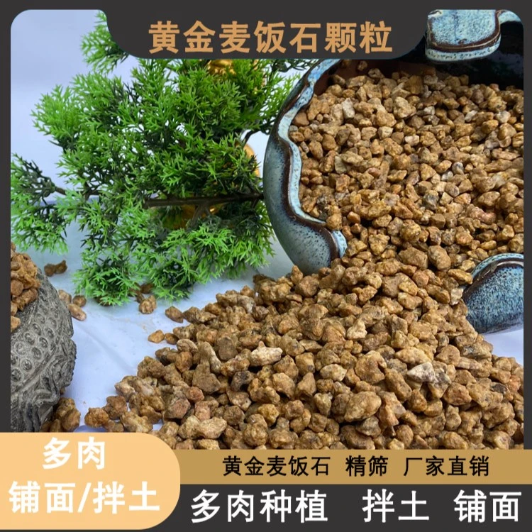 黄金软麦饭石颗粒土营养土多肉植物铺面石拌土专用多肉土控养种植