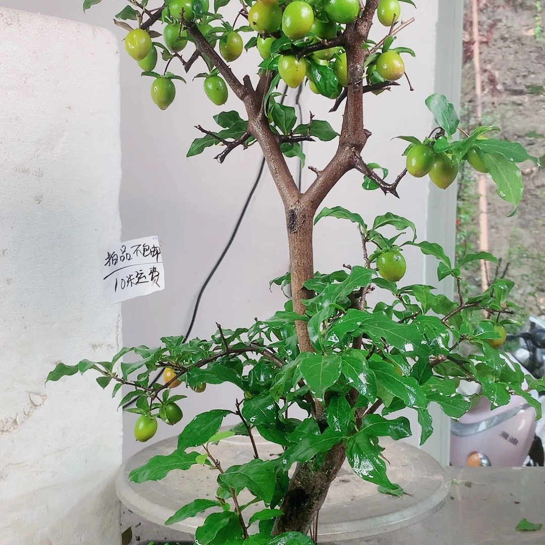 桃***台在家里面吗你不知道吗