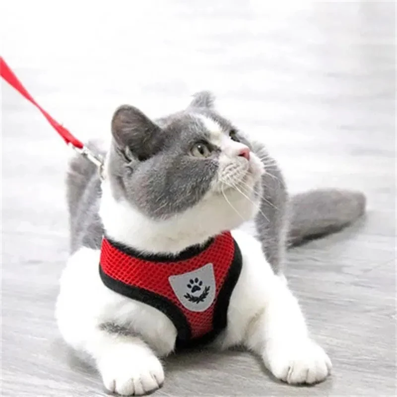 猫咪背心式牵引绳狗牵引绳泰迪小型犬幼犬遛狗绳防挣脱溜猫绳外出
