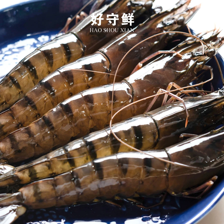 【本地黑虎虾】3斤（每只约15厘米）当天海捕活冻不掺杂虾深海竹节虾