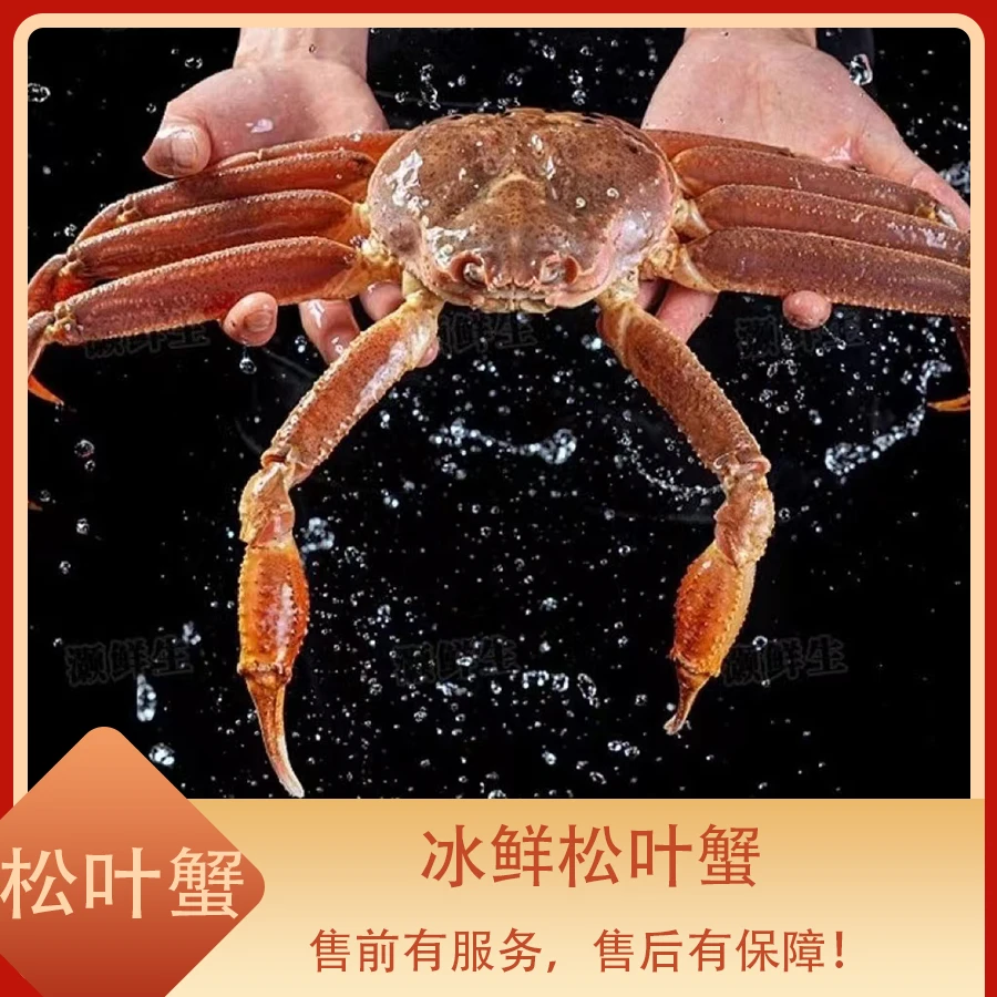 冰鲜松叶蟹   部分缺脚 江浙沪皖压冰发货 其余省份液氮锁鲜