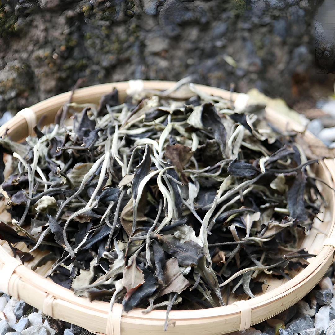 2017年高山古树白茶，蜜香枣香浓郁