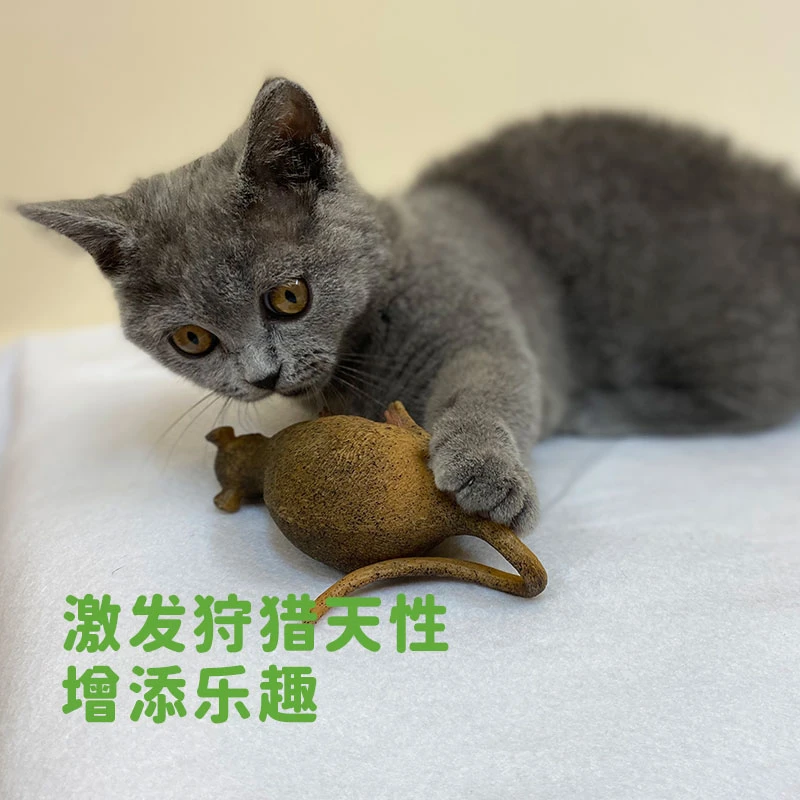 逗猫玩具软胶静态老鼠猫猫自嗨用品耐咬解闷神器调皮调皮猫的玩具