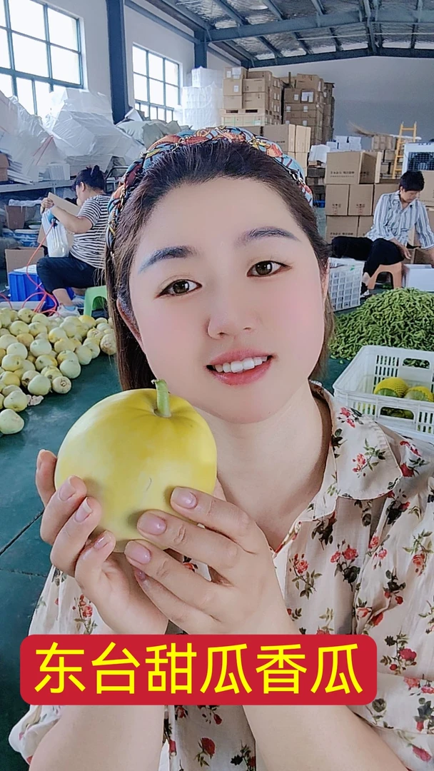 【东台琴姐】本地小香瓜甜瓜口感脆香甜顺丰包邮