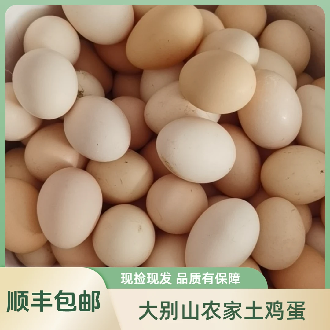 大别山农家土鸡蛋