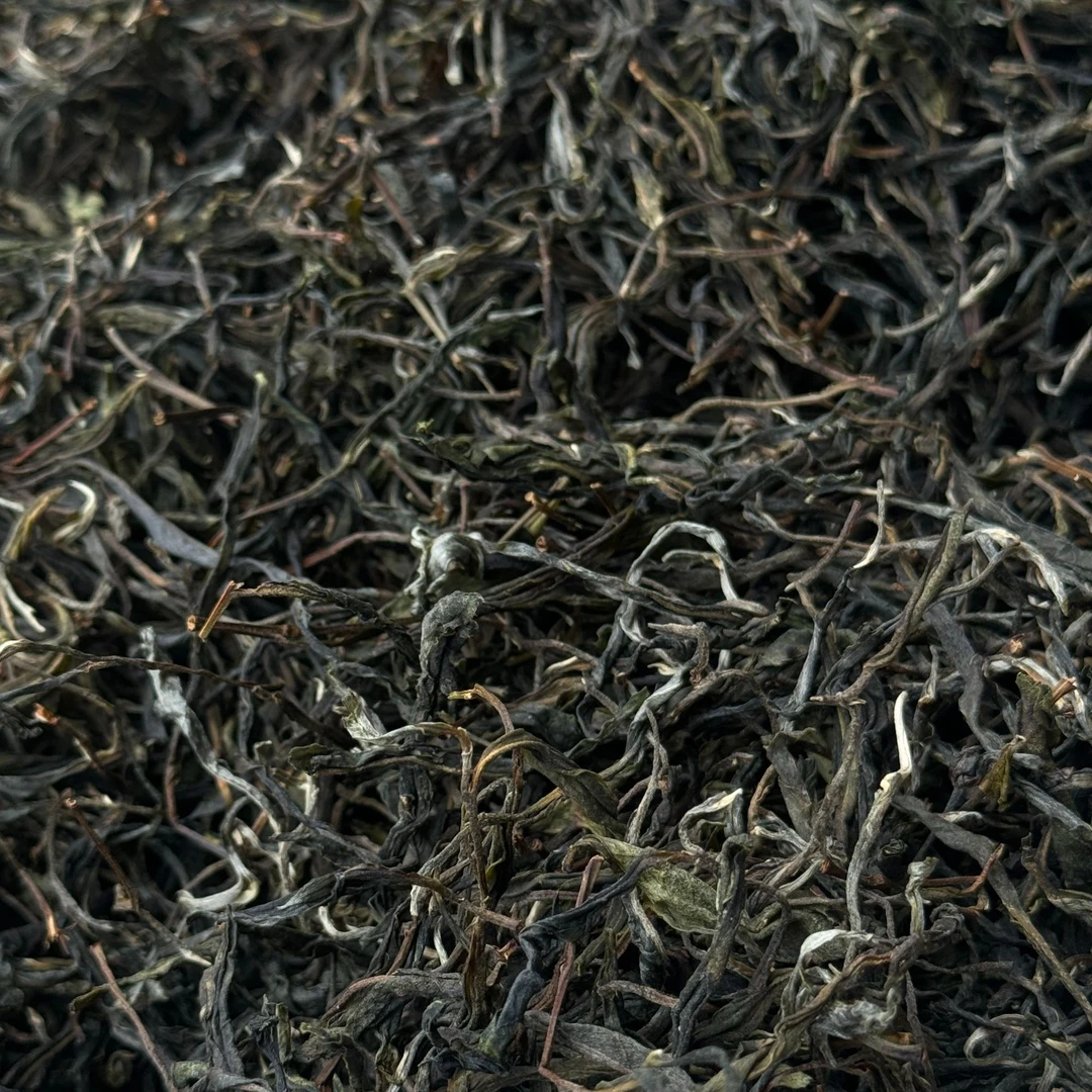 2025年普洱茶礼包单株王
