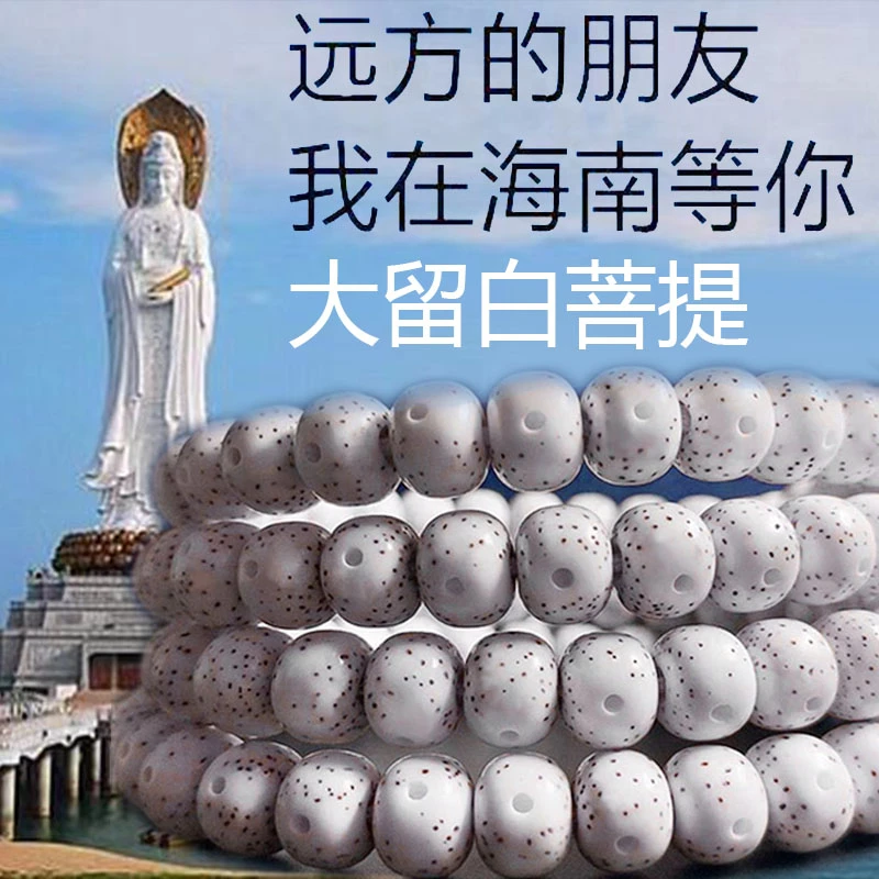 孤品 头条5A月朗星稀海南料星月菩提108颗正月高密干磨