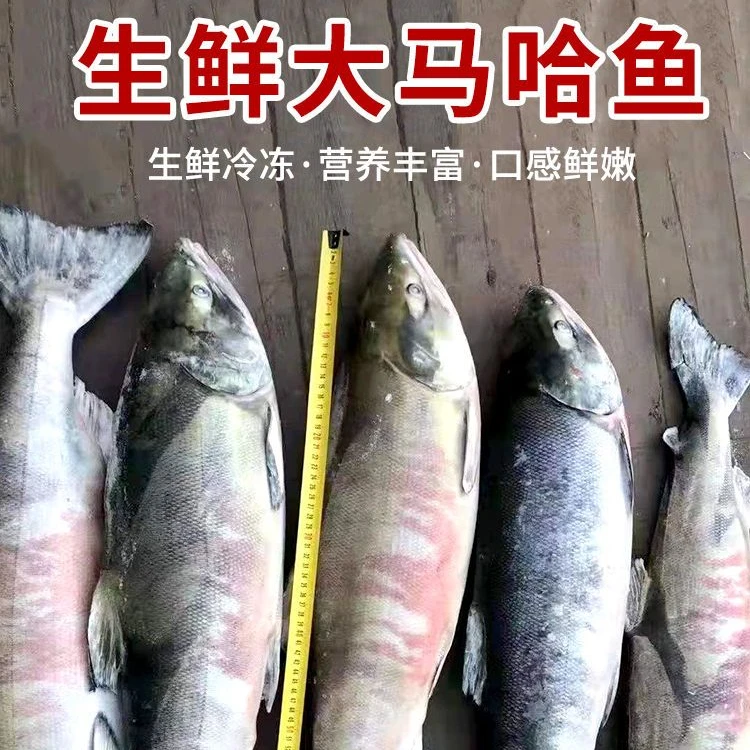 乌苏里江纯江野生江杂鱼通用链接