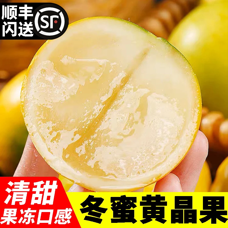 【顺丰】冬蜜黄晶果正宗高山特产新鲜当季罕见水果牛奶雅美果特级