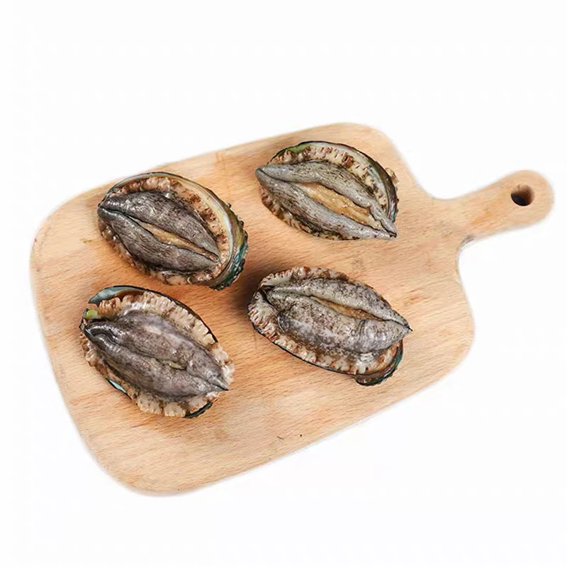 连云港发货 鲜活鲍鱼一斤22个 共30只顺丰包邮