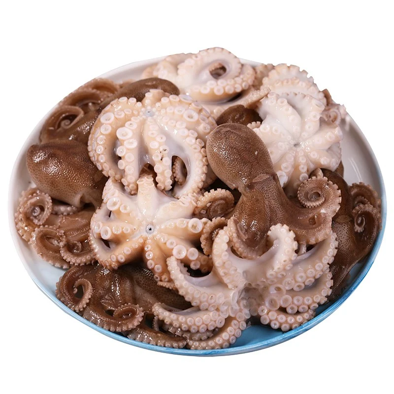 连云港深海捕捞新鲜速冻迷你短腿八爪鱼白灼红烧爆炒 4斤