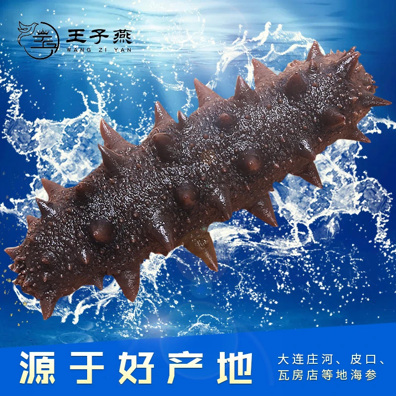 【王子燕】鲜食即食海参【6头8头10头】一斤装