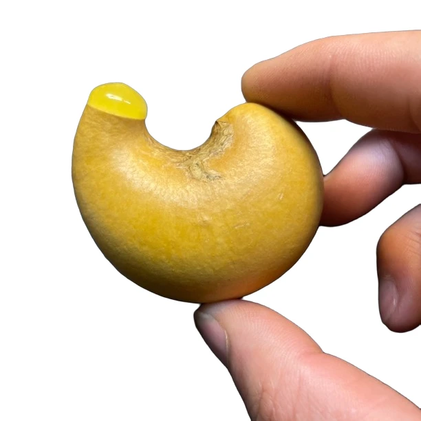 直播间选品链接勿拍摆件手把件葫芦纯手工创意摆设神器家用中式