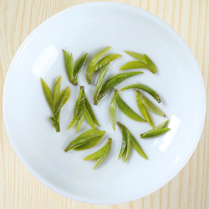 【雀舌】半斤 明前春茶手工雀舌小芽 罐装