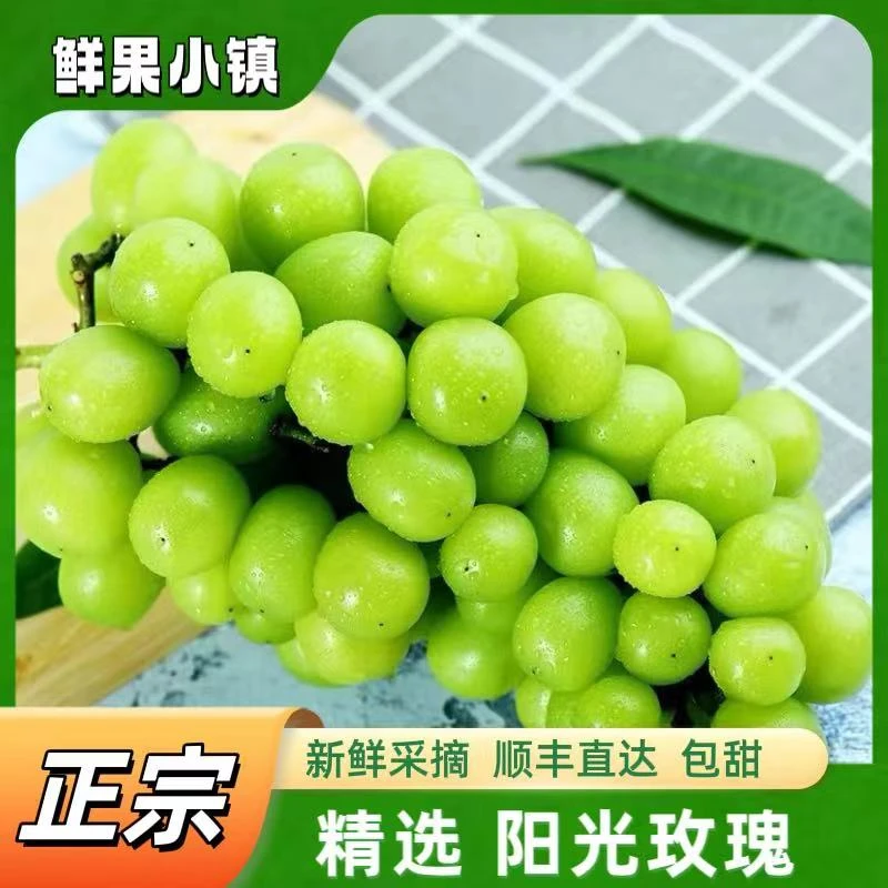 【大果复购95%】阳光玫瑰 自带花香皮薄无籽 脆甜爆汁净重3斤 顺丰