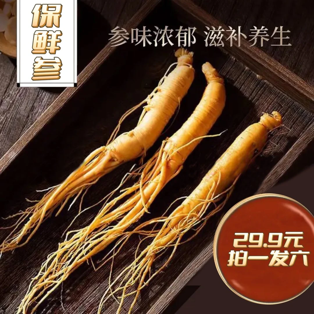 【福利拍一发六】长白山保鲜人参单根10克/支煲汤泡酒专用新鲜人参
