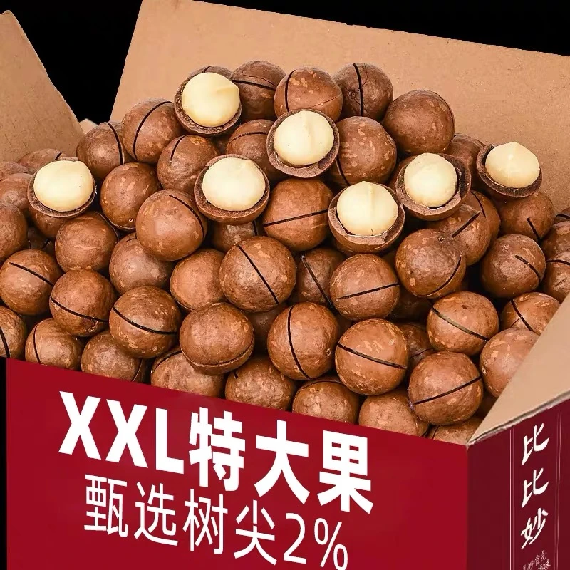 精选奶香夏威夷果酥脆坚果干果营养奶油味新鲜坚果9g零食美味罐装