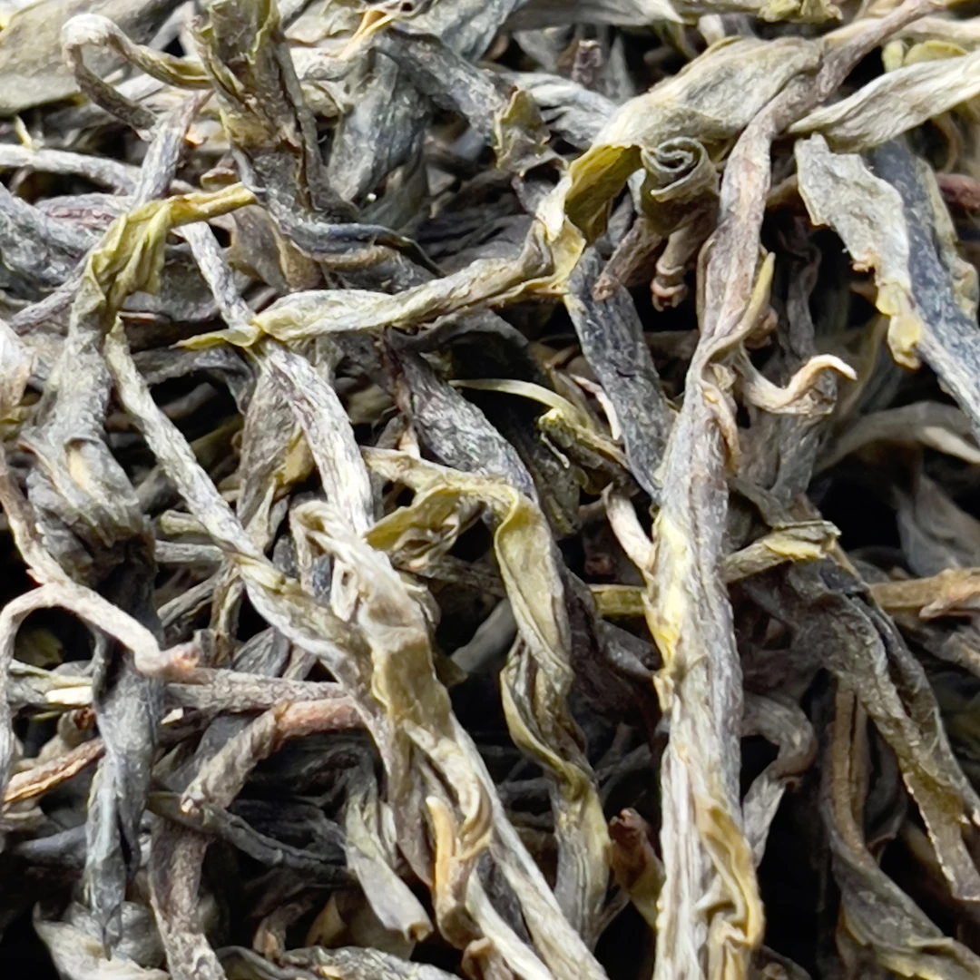 新粉福利【自家古树】2024年地界头春古树晒青茶 普洱生茶散茶100克