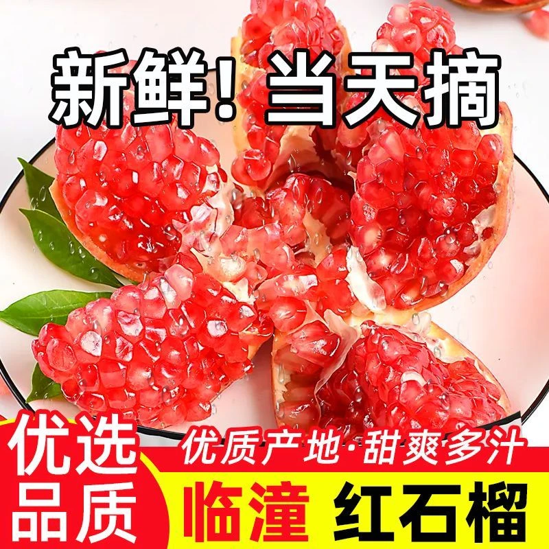 【九总专属】临潼石榴当季水果新鲜现摘 甜爽多汁