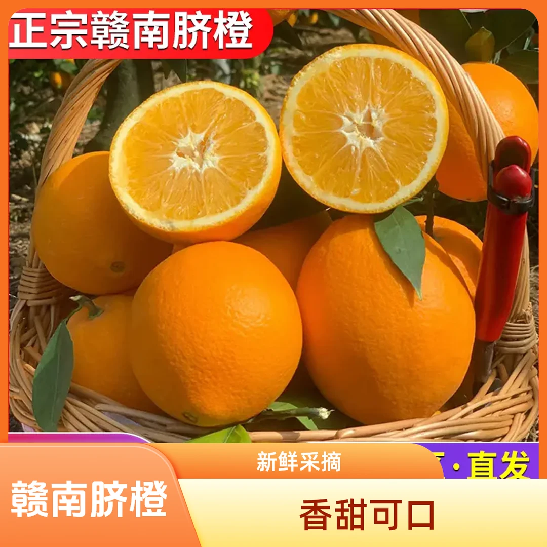 赣南脐橙正宗赣南脐橙新鲜水果应季果园直售采摘皮薄肉厚香甜橙子