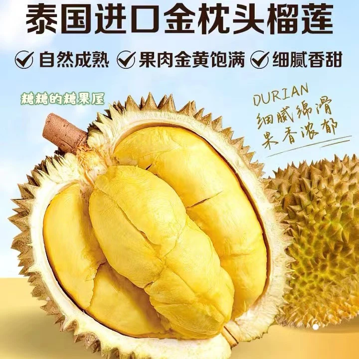 【冻干原切鲜榴莲】泰国金枕头榴莲水果肉无添加锁鲜冻干榴莲肉无核