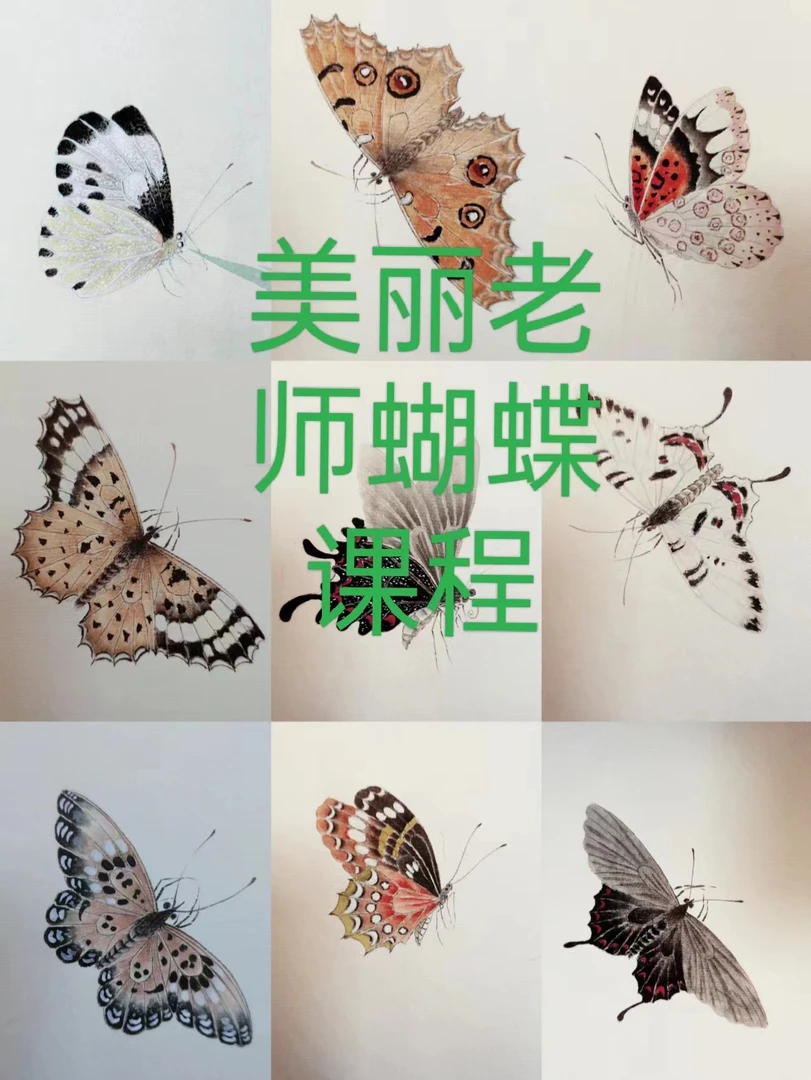 美丽老师草虫技法系列~ 蝴蝶