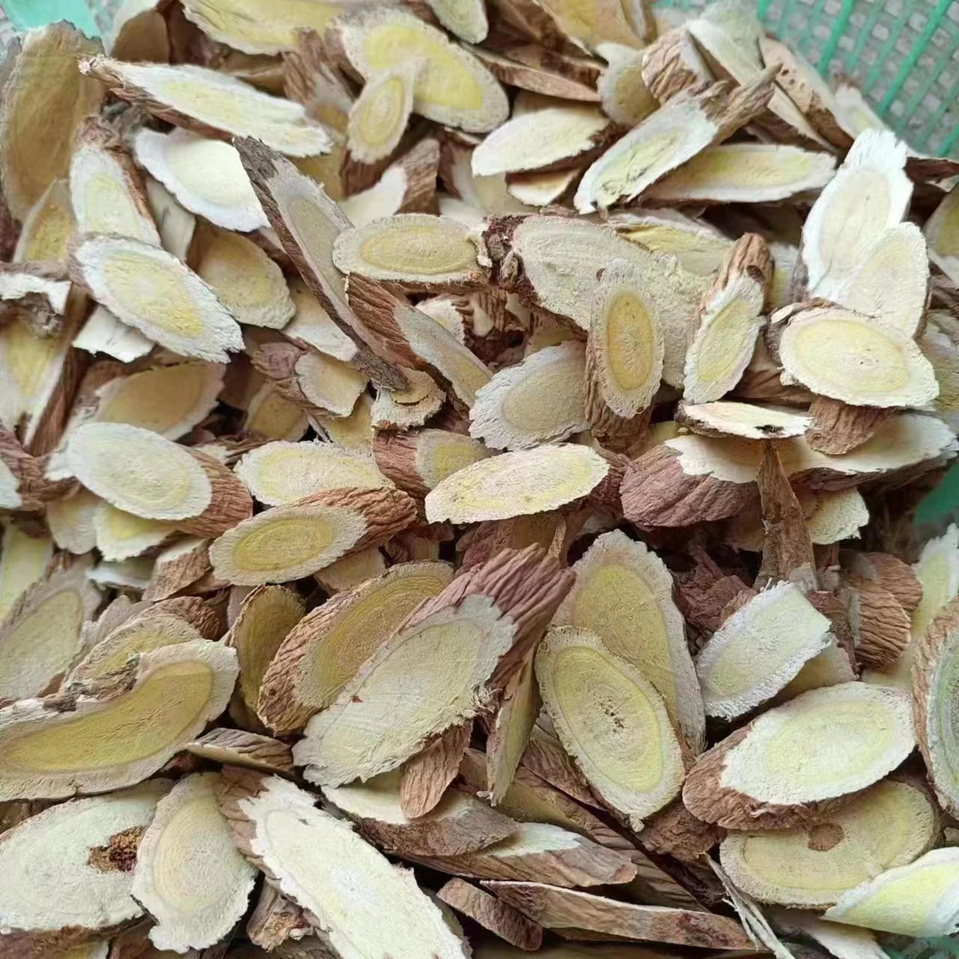 甘肃大黄芪   整根黄芪
