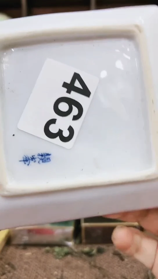 【闪购商品】463-6