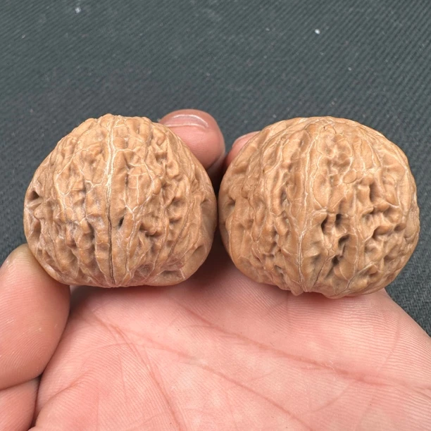 核桃铁锤妹妹全品