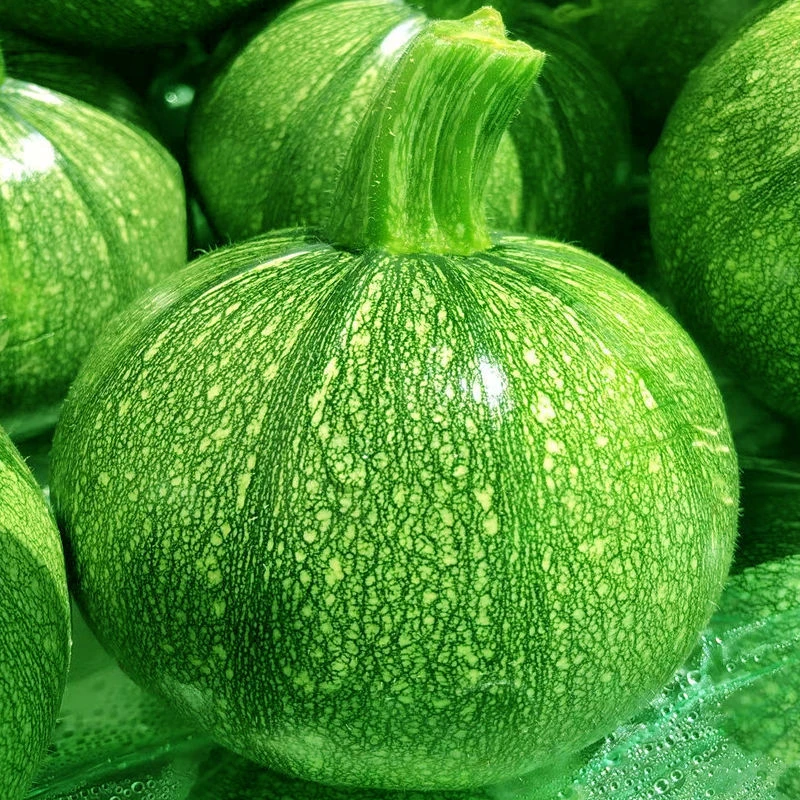 云南小圆瓜新鲜嫩南瓜现摘西葫芦瓜圆形绿皮嫩瓜金瓜3斤农家蔬菜