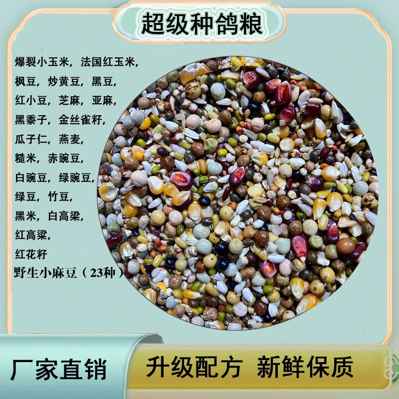 龙领鸽粮  超级种鸽粮50/10/20斤信鸽赛鸽种鸽成鸽鸽粮包邮