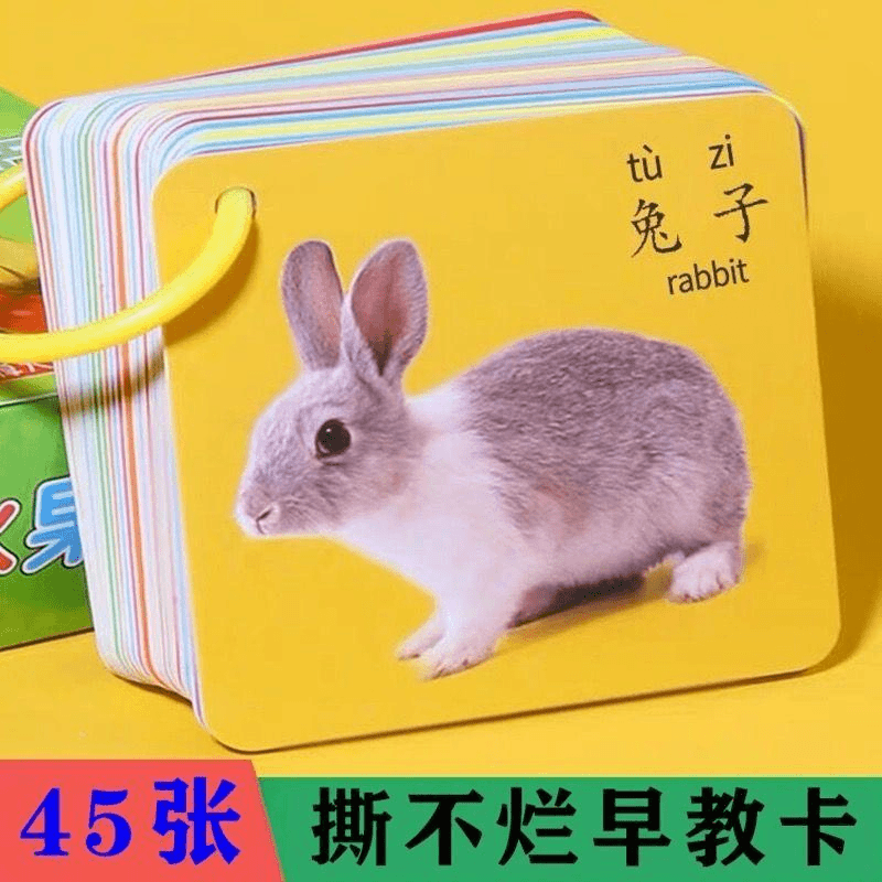 点砚儿童撕不烂早教卡益智学习卡片宝宝启蒙玩具看图识字卡动物认