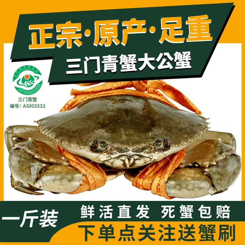 一篓鲜三门青蟹鲜活超大公蟹礼盒特大肉蟹海鲜水产礼盒中秋礼顺丰