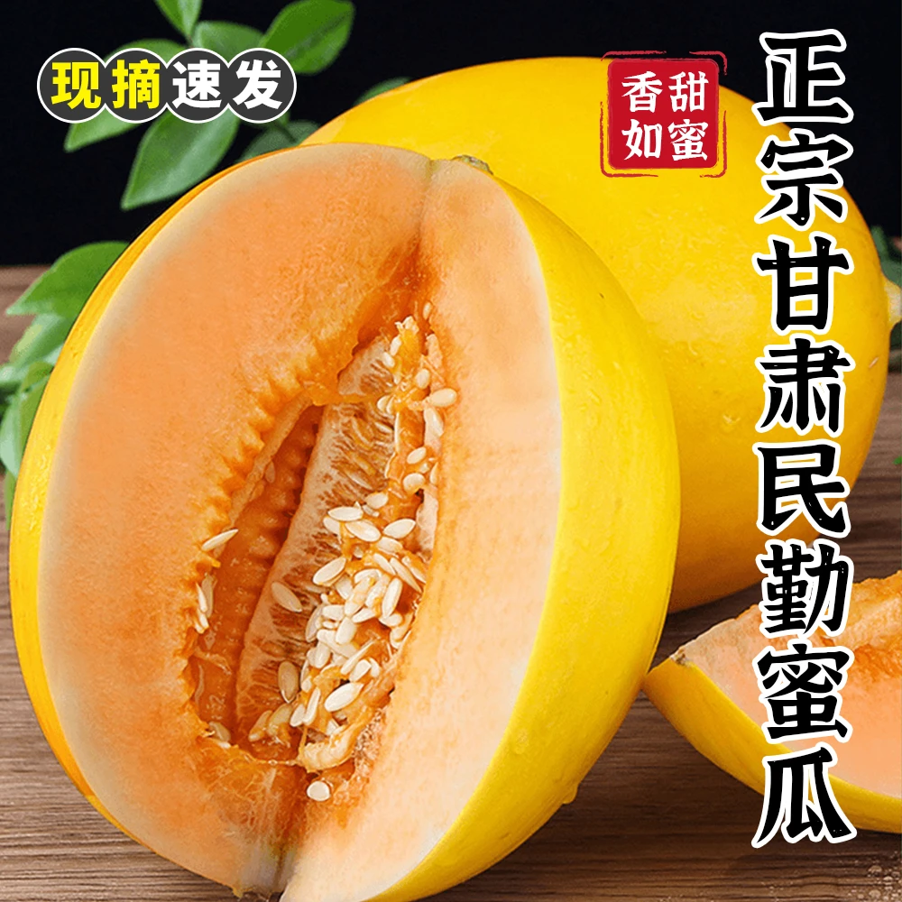 甘肃民勤蜜瓜4.5斤-9斤装 金红宝沙漠蜜瓜产地直发应季水果M