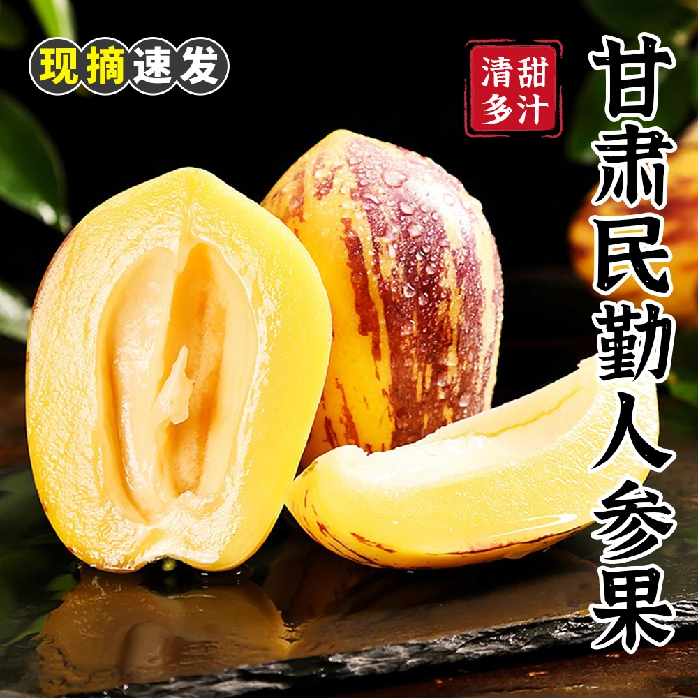 【顺丰速发】甘肃民勤人参果带箱5斤 单果150g+约7-15个