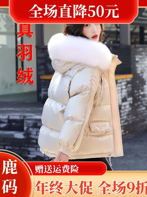 雅鹿羽绒服【年终大促】羽绒衣羽绒服2023年冬季新款女休闲反季免
