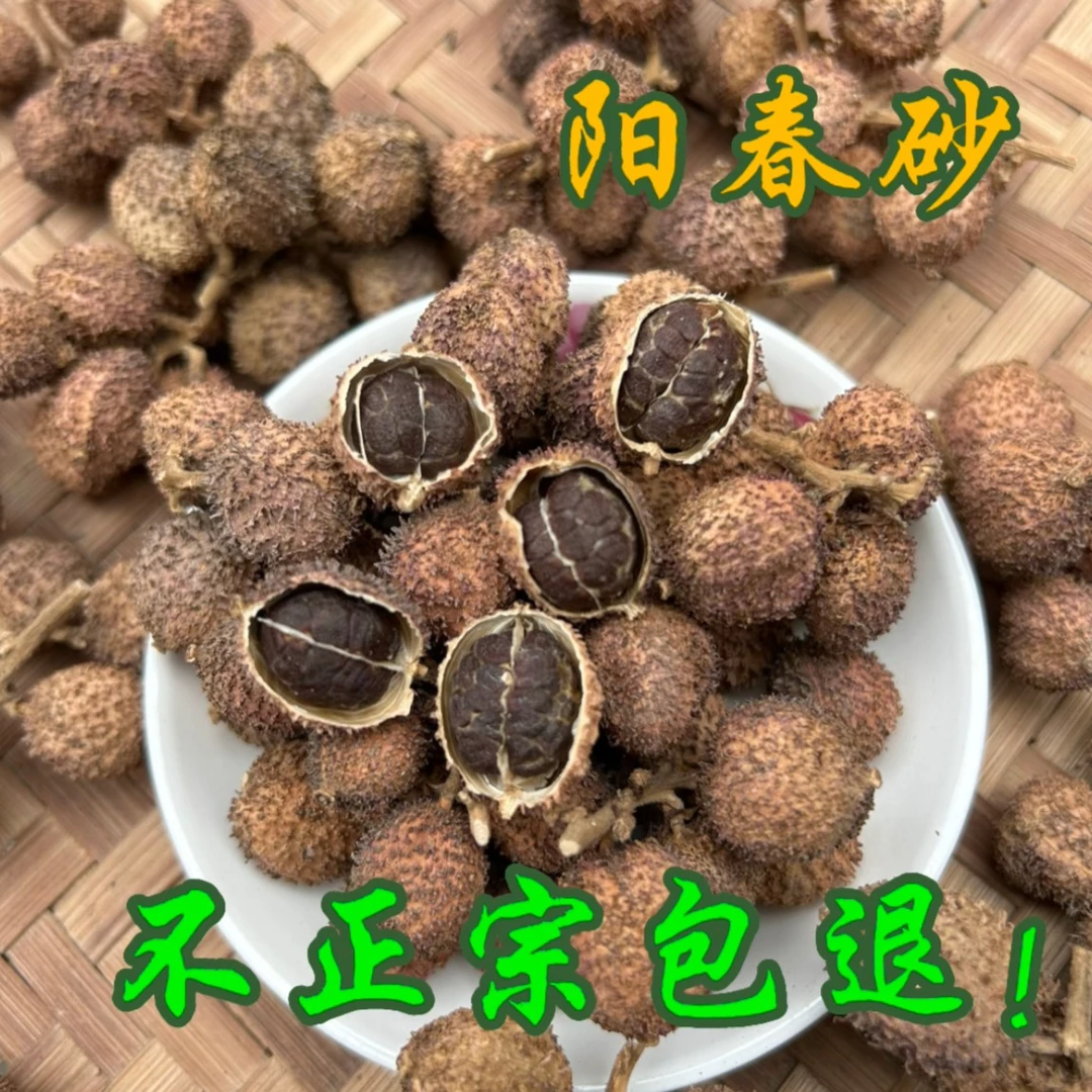 正宗阳春特产春砂仁【生晒】煲汤春砂仁批发产地直发