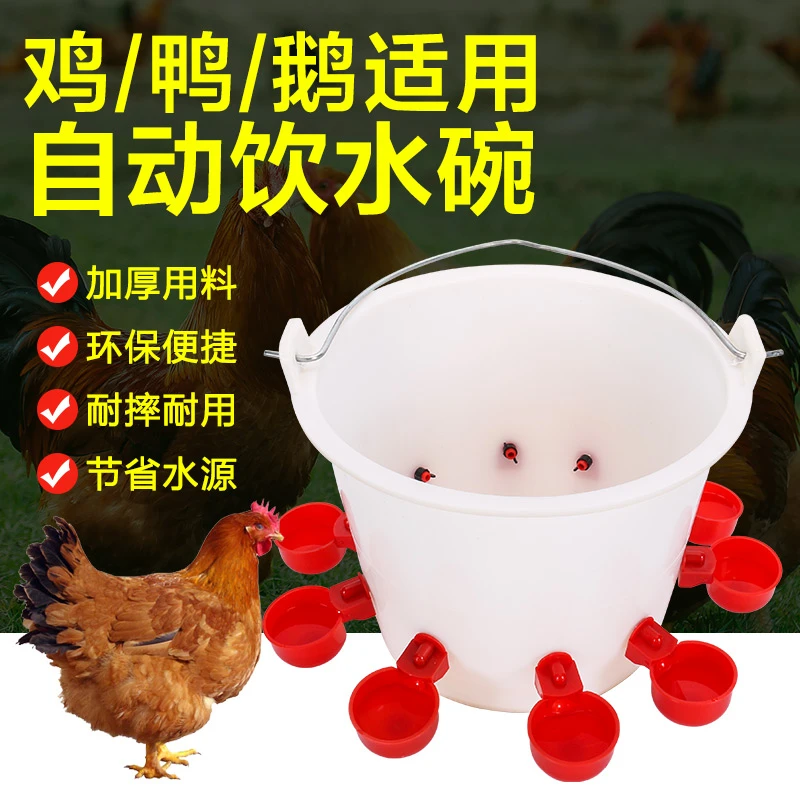 养鸡专用家禽自动饮水器水满自停小鸡鸭鹅鸽子饮水碗自动喝水装置
