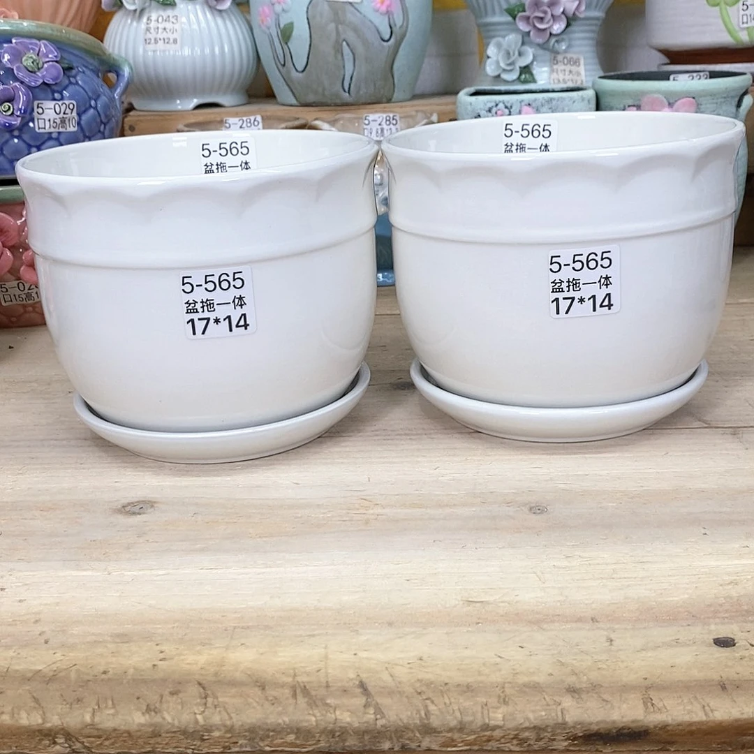 陶瓷20CM以下@@5565