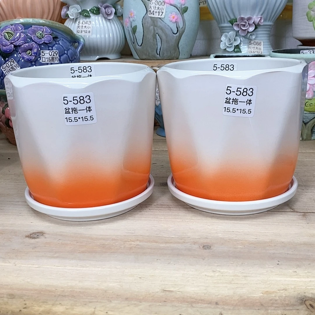 陶瓷20CM以下@@5583