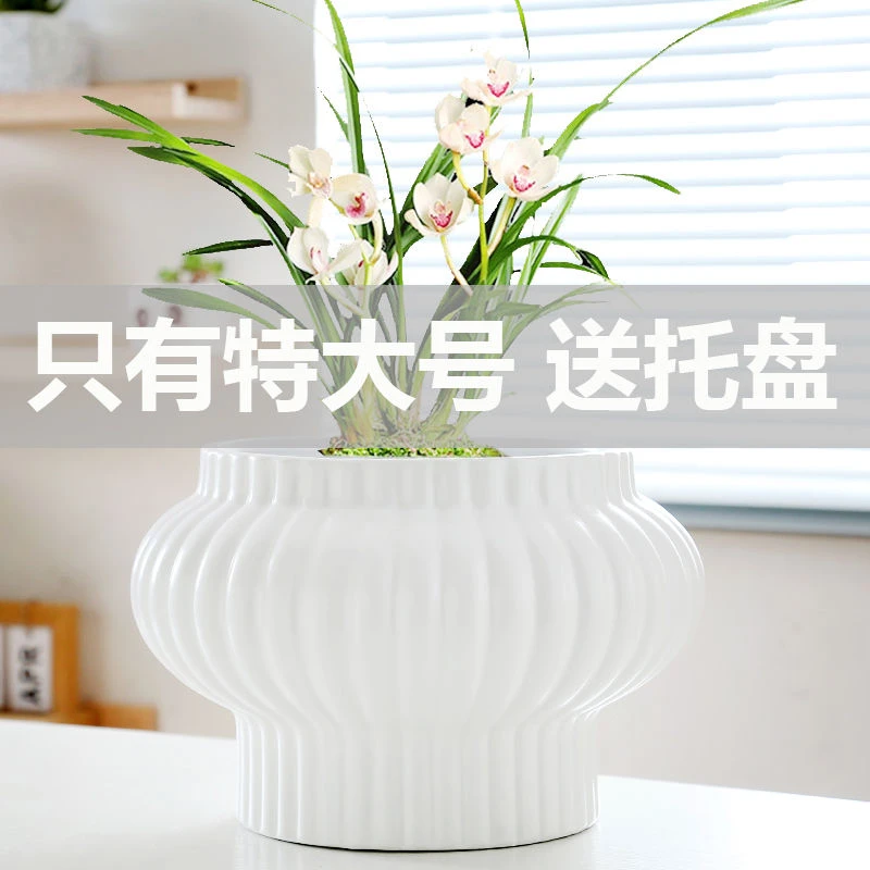 花盆陶瓷特大号超大家用带托盘个性家用蝴蝶兰多肉花盆