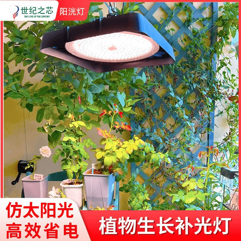 世纪之芯植物补光灯生长灯 全光谱月季君子兰绿植室内种植花卉灯