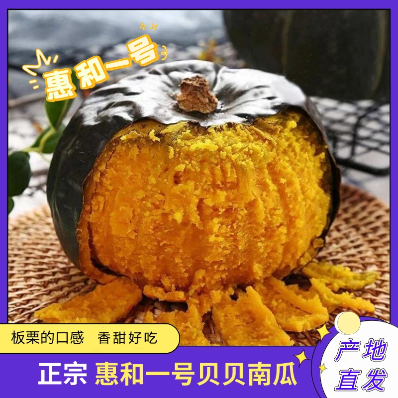 惠和一号贝贝南瓜口感香甜粗纤维农产品肉厚好吃优质品种营养健康