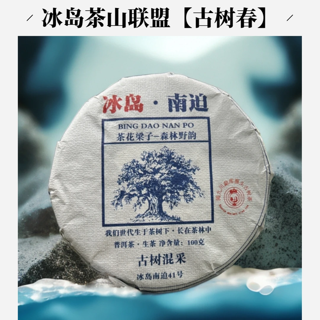 月叶花鸿冰岛南迫古树24年春茶花果香纯料云南普洱茶生茶