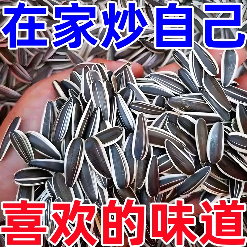 【新鲜生瓜子】葵花籽23年新货饱满颗粒原味瓜子黑瓜子休闲追剧零食