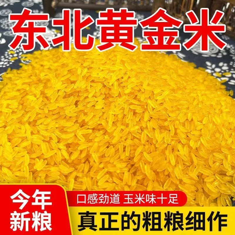 东北黄金米新米正宗黄金米饭伴侣五谷杂粮特产黄色的大米批发